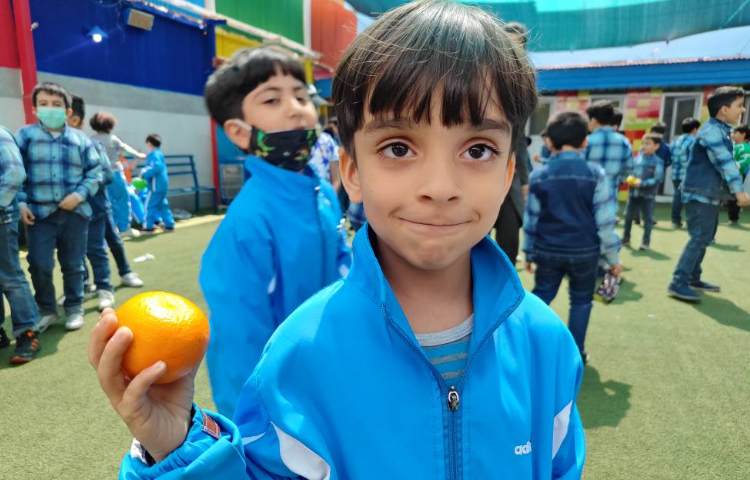 :میان وعده سالم 6