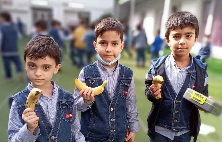 میان وعده سالم 6