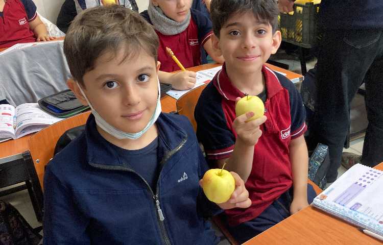 میان وعده سالم 6