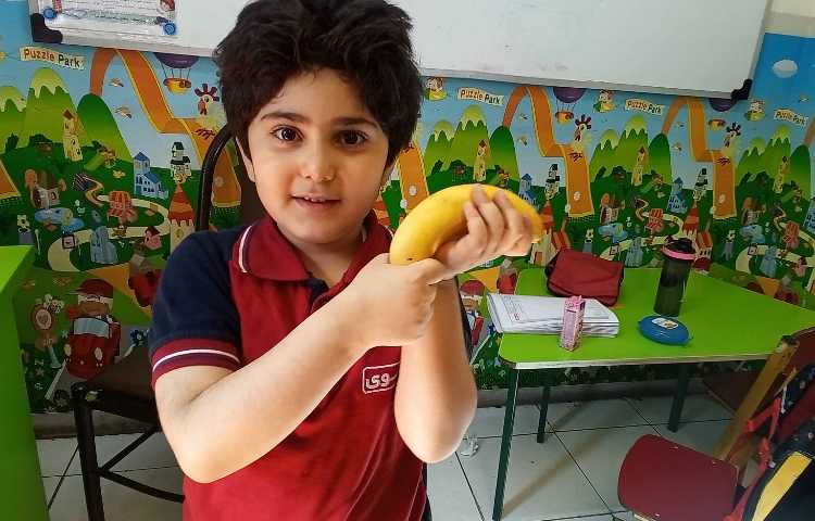 میان وعده سالم 6