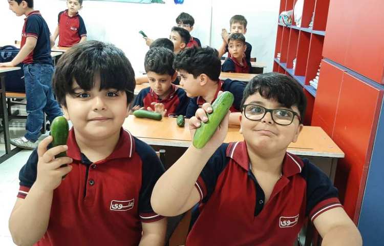 میان وعده سالم 6