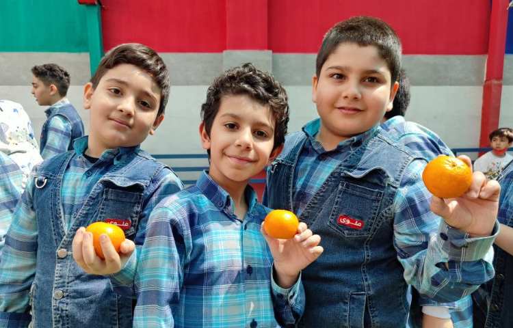 :میان وعده سالم 8