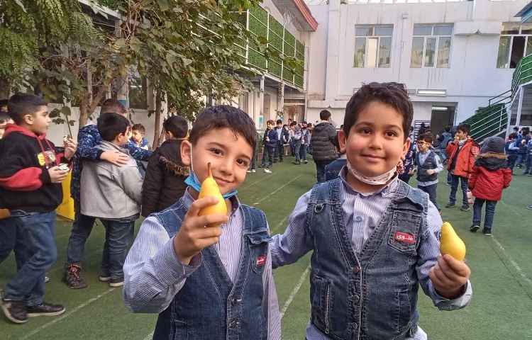 میان وعده سالم