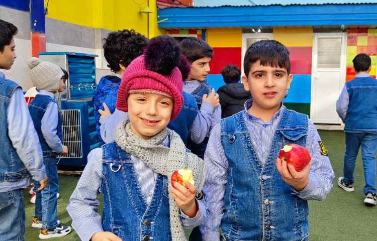 میان وعده سالم