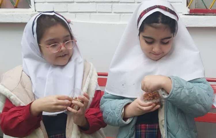 میان وعده سالم