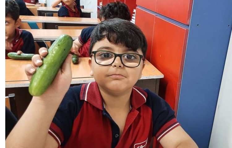 میان وعده سالم