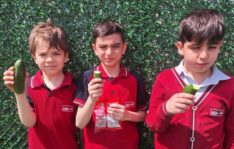 میان وعده فروردین ماه 10