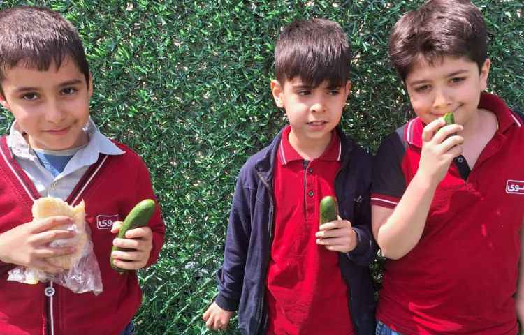 میان وعده فروردین ماه 11