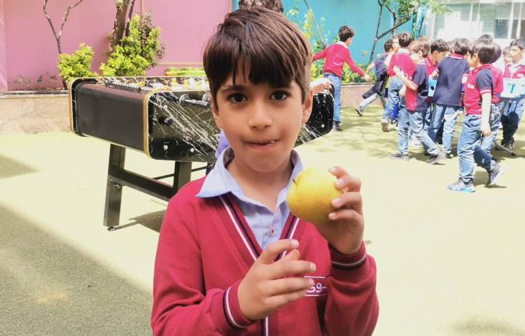 میان وعده فروردین ماه 2