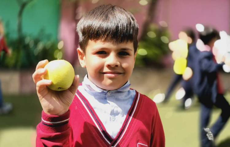 میان وعده فروردین ماه 3