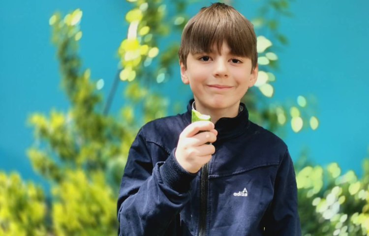 میان وعده فروردین ماه 3