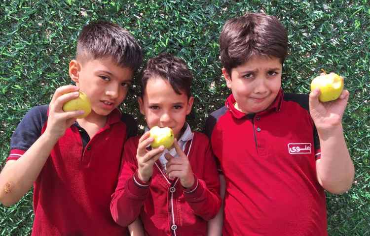 میان وعده فروردین ماه 3