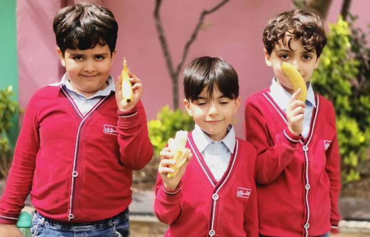 میان وعده فروردین ماه 5