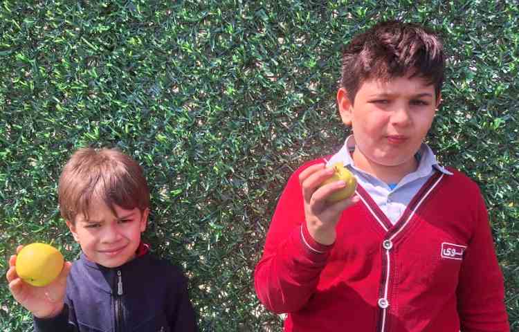 میان وعده فروردین ماه 6