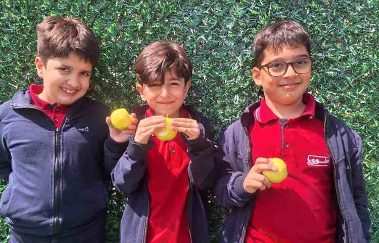 میان وعده فروردین ماه 7