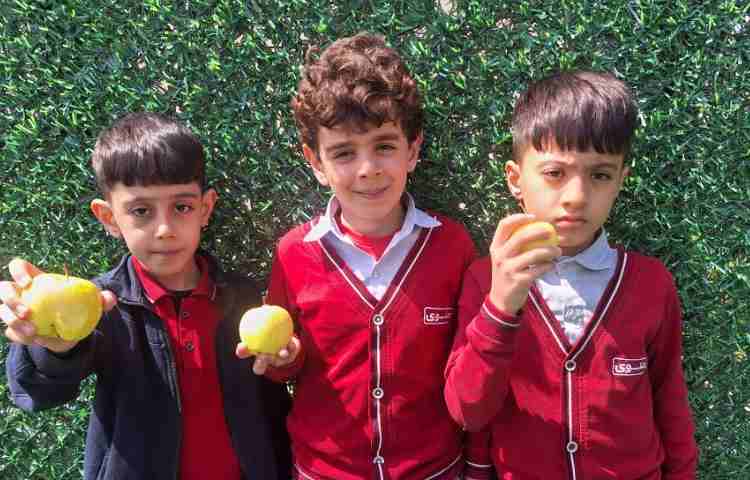 میان وعده فروردین ماه 8