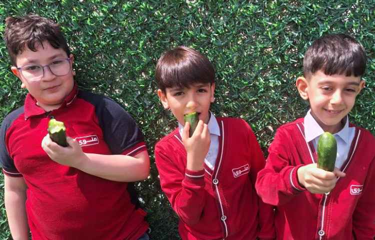 میان وعده فروردین ماه 8