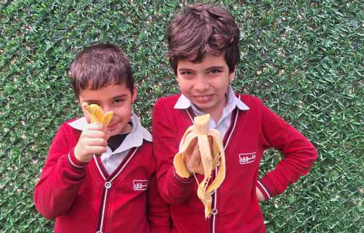 میان وعده فروردین ماه 8