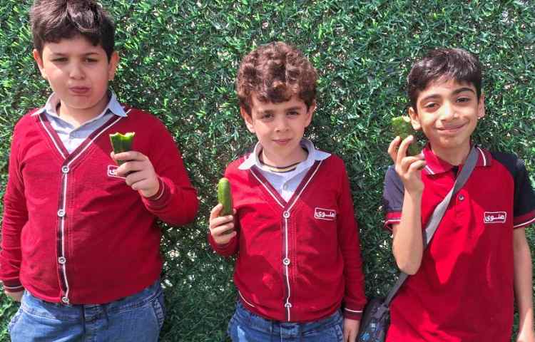 میان وعده فروردین ماه 9