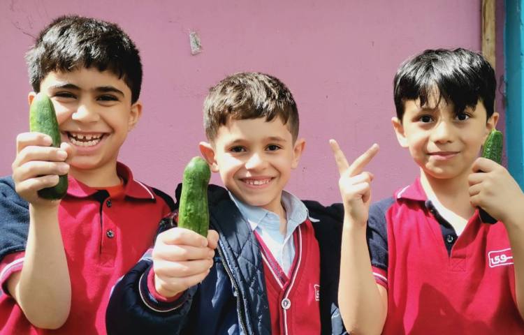 میان وعده فروردین ماه