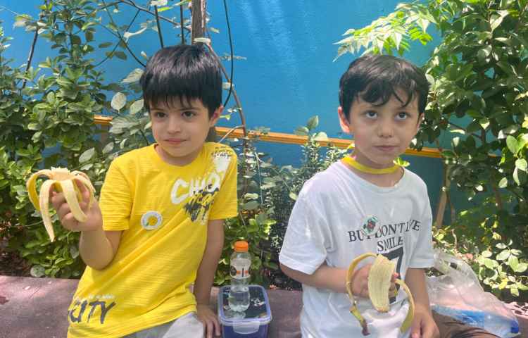 میان وعده مرداد ماه