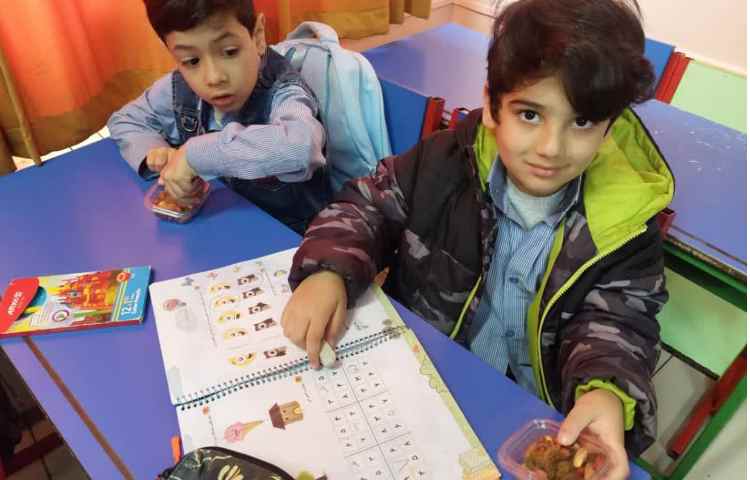 میان وعده مغذی 6