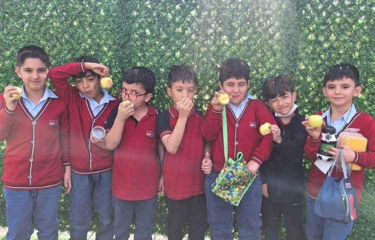 میان وعده مهر ماه مقارن با روز سیب 3