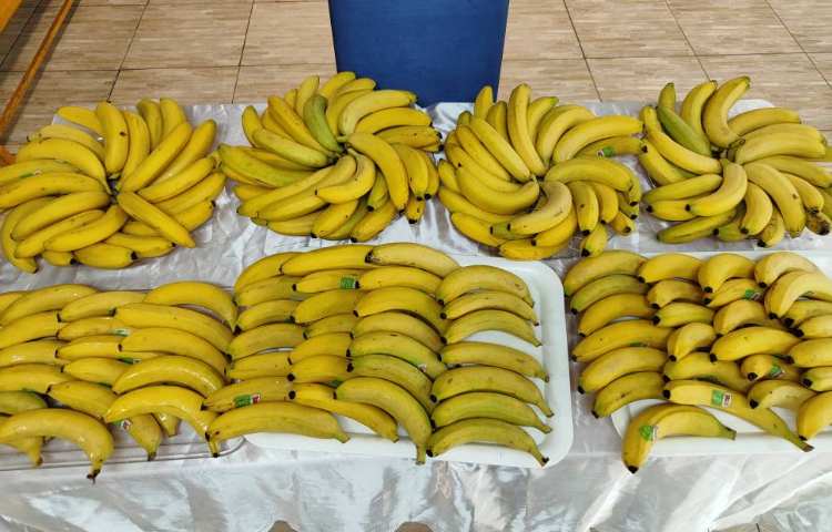 : میان وعده (هفته پنجم پایگاه تابستانی) 24