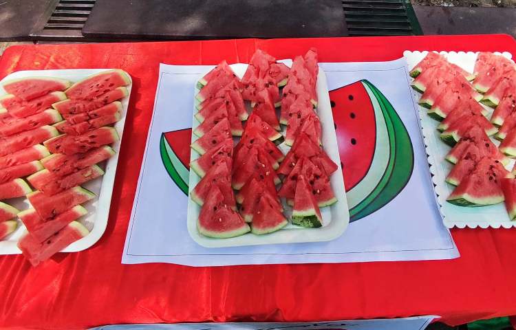 : میان وعده (هفته چهارم پایگاه تابستانی) 12