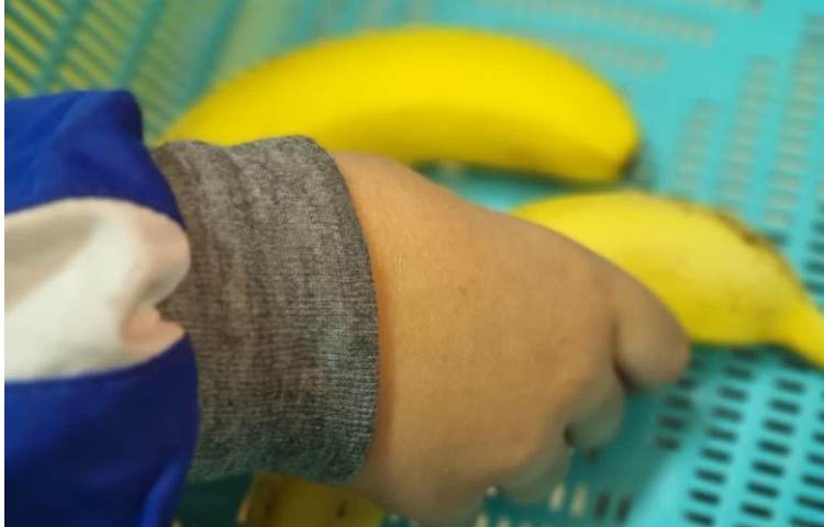 میان وعده و ناهار دبستان علوی 7