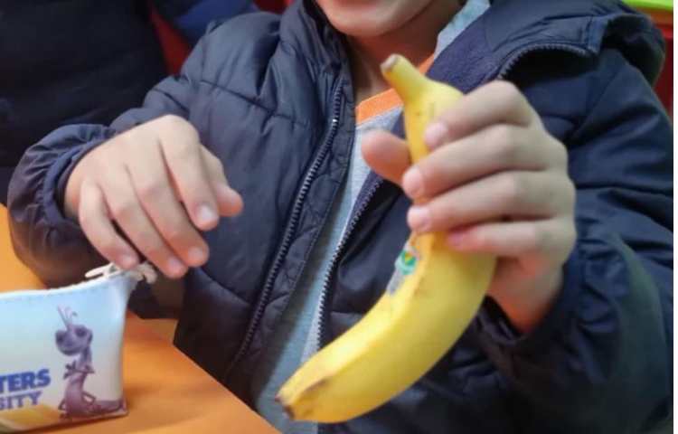 میان وعده و ناهار دبستان علوی