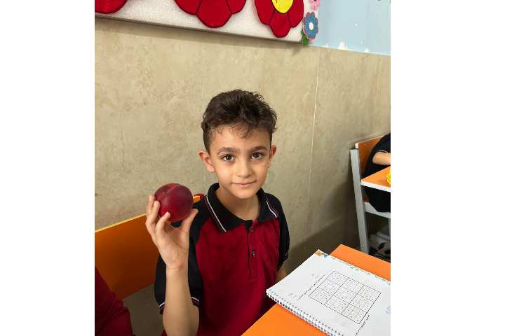 میان وعده ی سالم کلاس ما 1