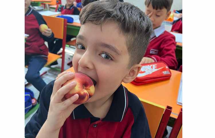 میان وعده ی سالم کلاس ما 2