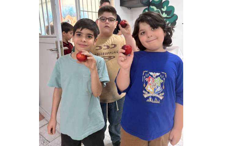 میان وعده 0