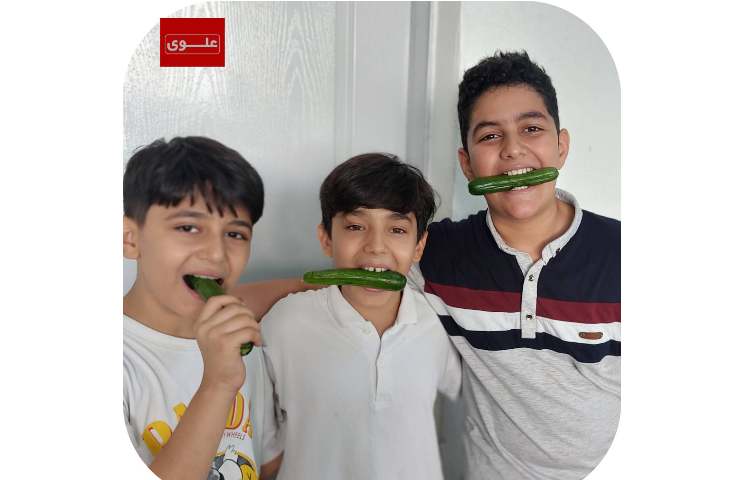 میان وعده 1