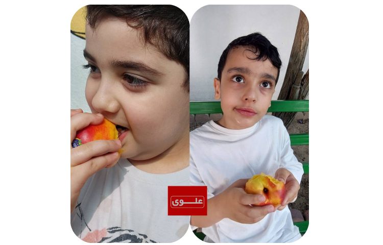 میان وعده 1