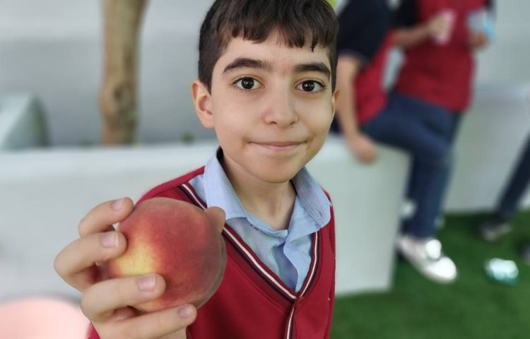 میان وعده 1