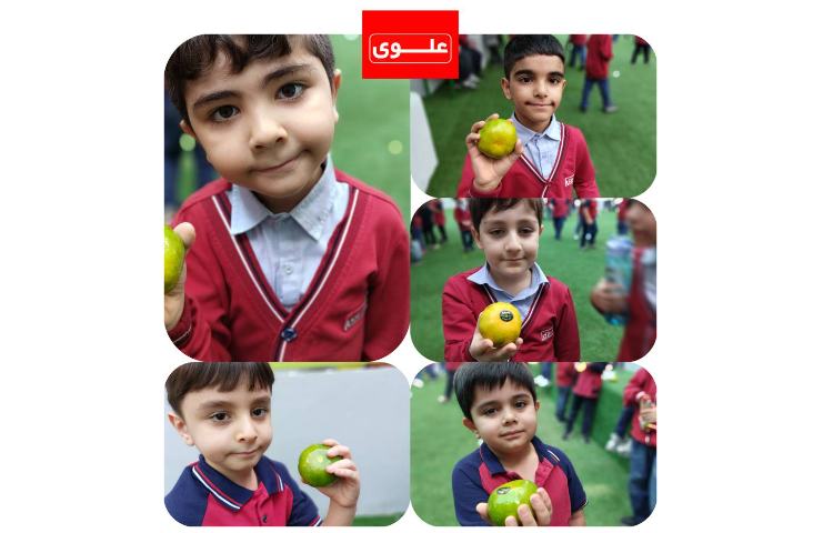 میان وعده 1