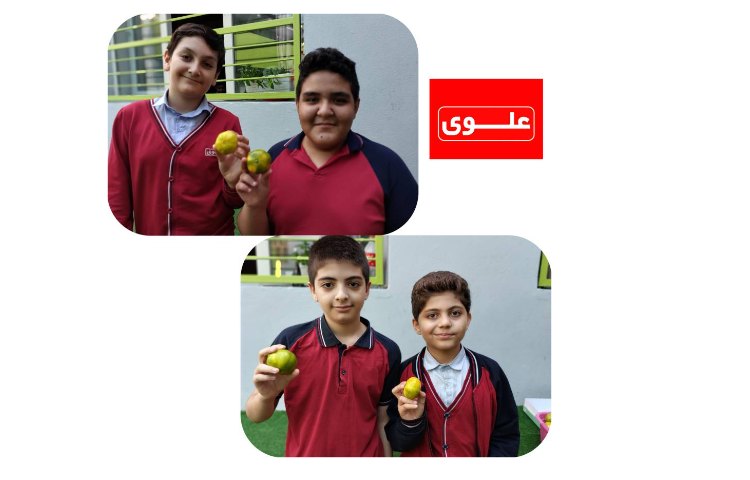 میان وعده 1
