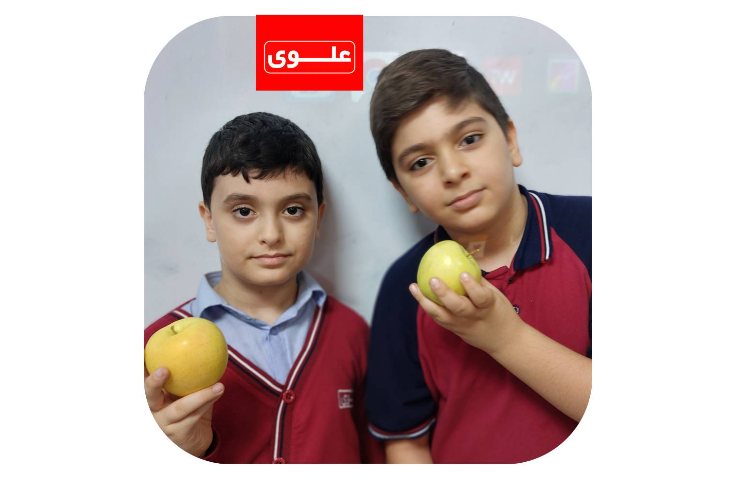 میان وعده 1