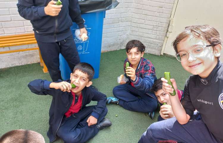 میان وعده 10