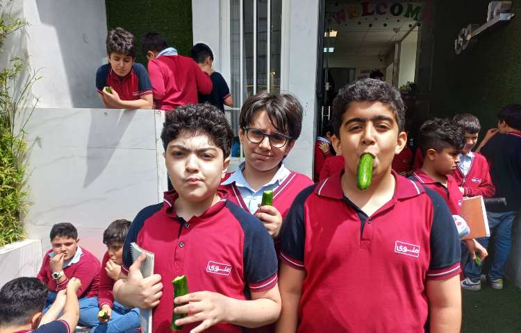 میان وعده 10