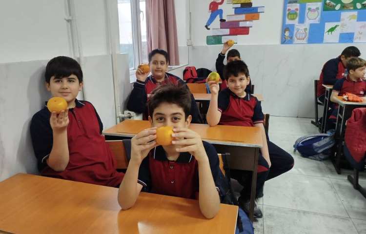 میان وعده 10