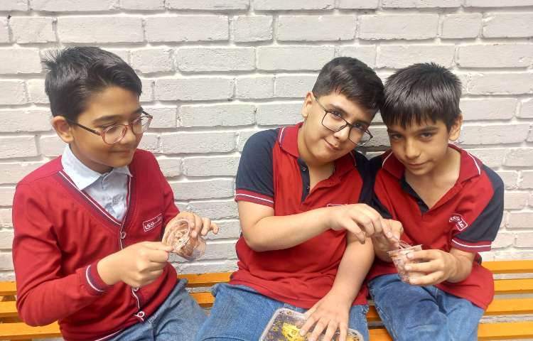 میان وعده 11