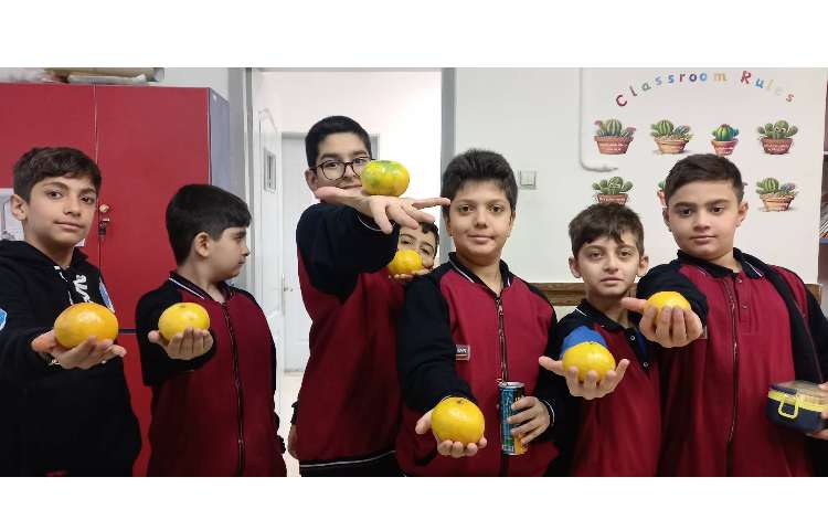 میان وعده 12