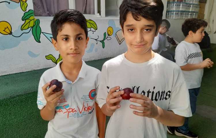 میان وعده 2