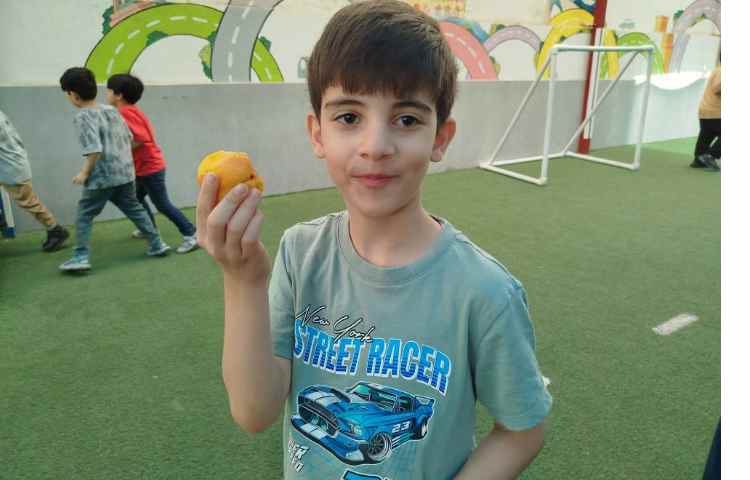 میان وعده 2