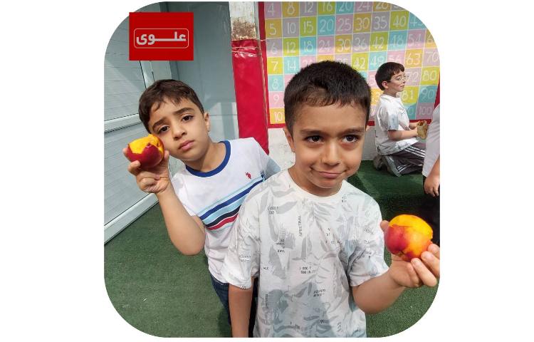 میان وعده 2