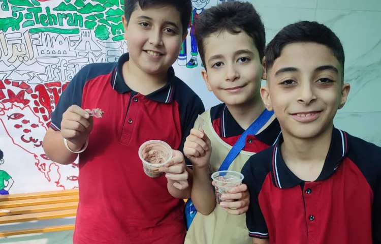 میان وعده 2