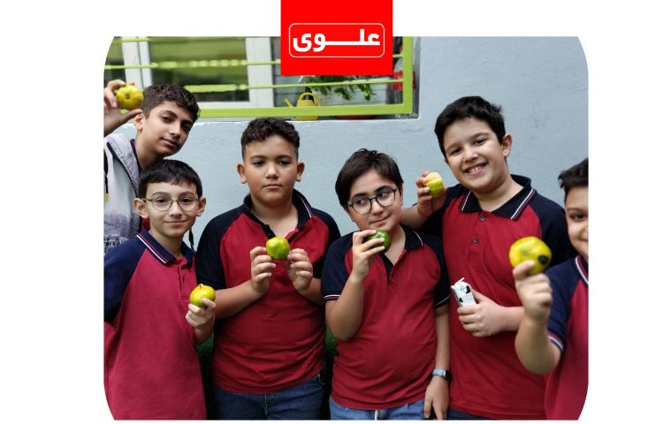 میان وعده 2